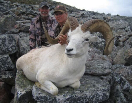 wta_1059_8DEION_sheep1