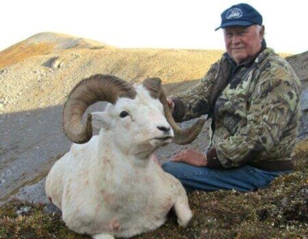 wta_1059_C4ITDO_sheep10