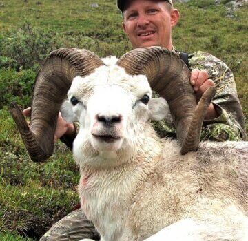 wta_1059_DA6195_sheep15