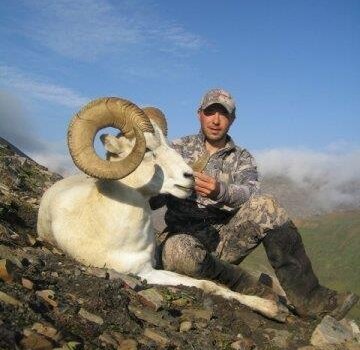 wta_1059_SKUT27_sheep2