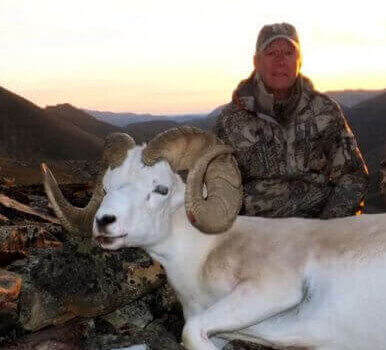 wta_1059__featured_ZSE2ZM_sheep7