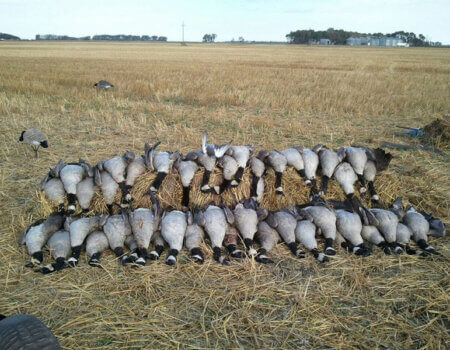 wta_1060_QY7XWD_photo