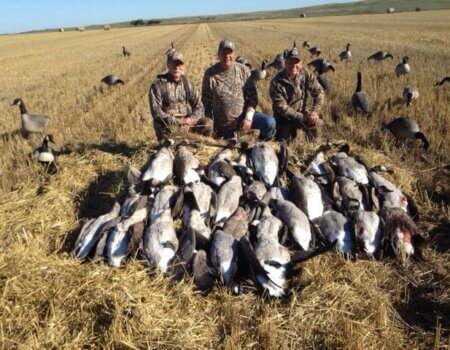 wta_1060__featured_MTV40W_Earlyseasongoose