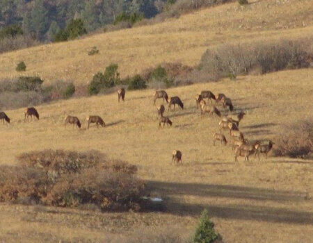 wta_1070_LTTSRH_IMG_0833