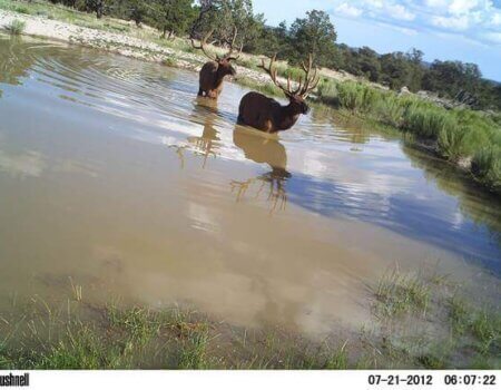 wta_1073_SA06TO_image045