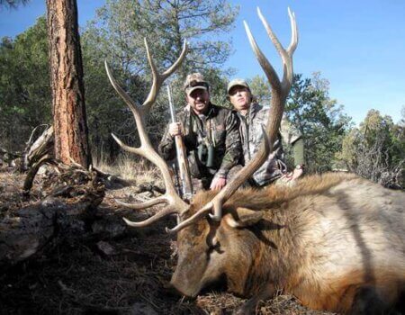 wta_1073_Z60QV1_image050