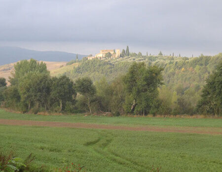 wta_1074_3FIR6G_Tuscany(9)