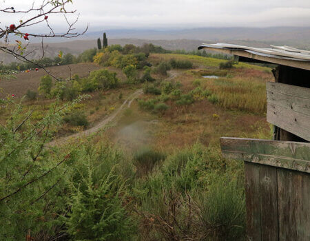 wta_1074_8YFAFN_Tuscany(5)