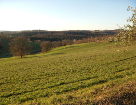 wta_1074_9B6RW4_Tuscany(3)