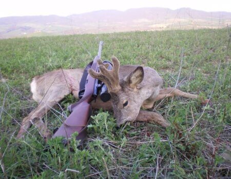 wta_1074_ETUG51_roedeertrophies(3)