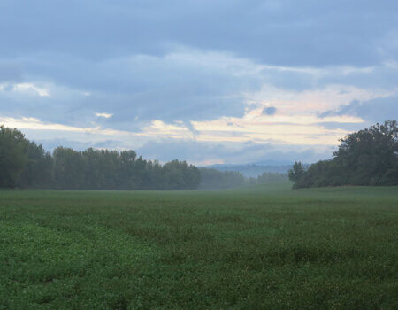 wta_1074_JETU57_Tuscany(8)