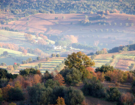wta_1074_KLGO1B_Tuscany