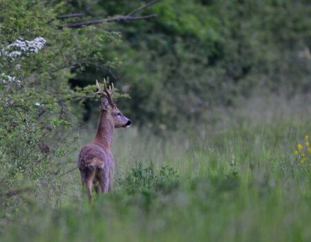 wta_1074_SUFF5N_Altaqualit-RiccardoCamusso(7)