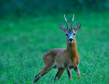 wta_1074_XN4ESP_Altaqualit-RiccardoCamusso(2)