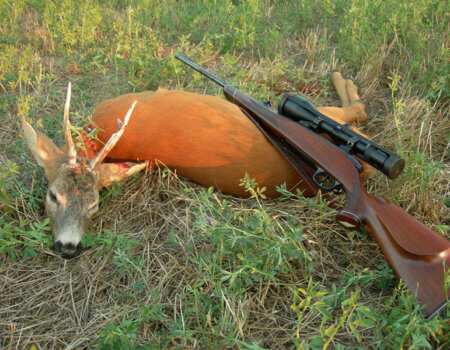 wta_1074_Y1IA5A_roedeertrophies(1)