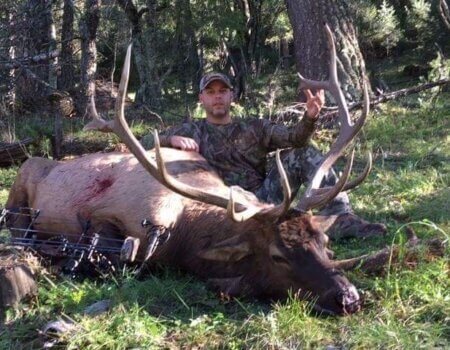 wta_1077_1X73JG_elk4