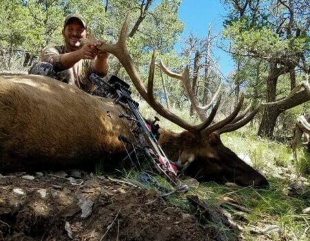 wta_1077_76ZWJA_elk2