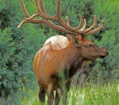 wta_1077_8PJ861_IMG_2542