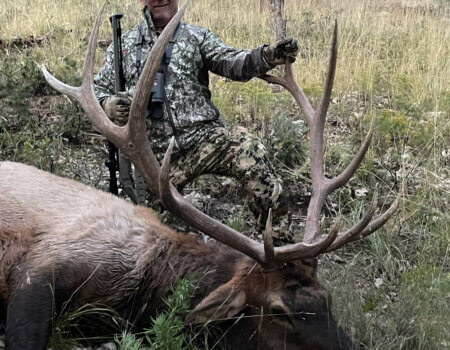 wta_1077_Elk Sacramento Mountain