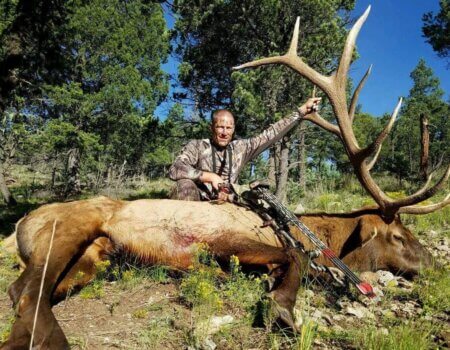 wta_1077_FIQF2O_elk3