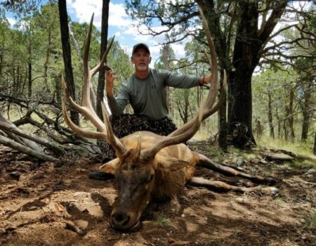 wta_1077_IWK496_elk5