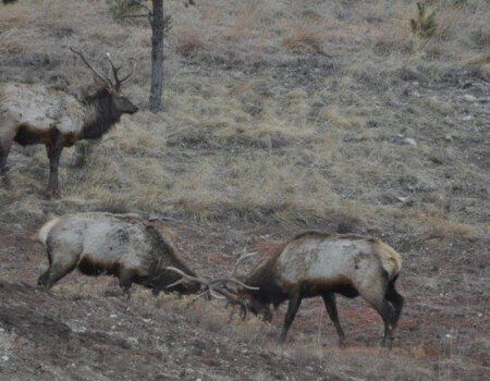 wta_1077_OENMFD_DSC_4160