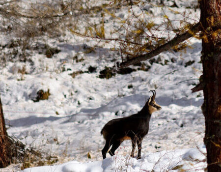 wta_1083_DEQ3IX_Altaqualit-RiccardoCamusso(3)