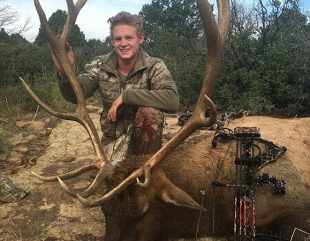 wta_1084_3RTWFQ_Petrini2016