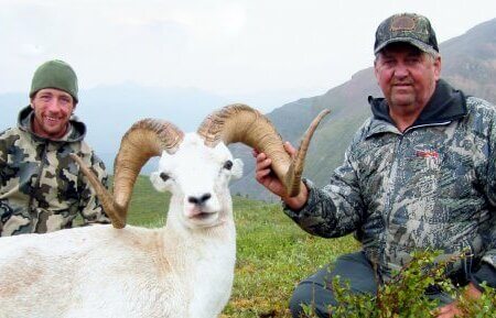 wta_1087_1I4QZI_082_dallsheep-15