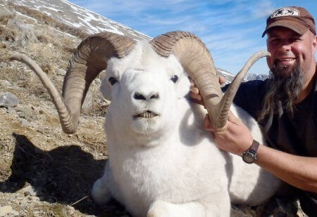 wta_1087_2KZIZZ_082_dallsheep-23