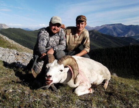 wta_1087_4OAWNQ_sheep7