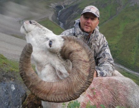 wta_1087_6W0T2K_082_sheep-2