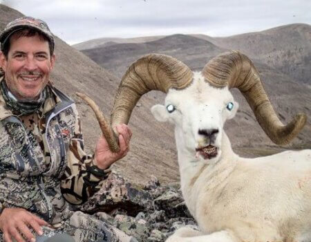 wta_1087_DNTET6_082_dallsheep-2