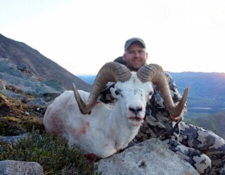 wta_1087_GKCFJM_082_sheep-4