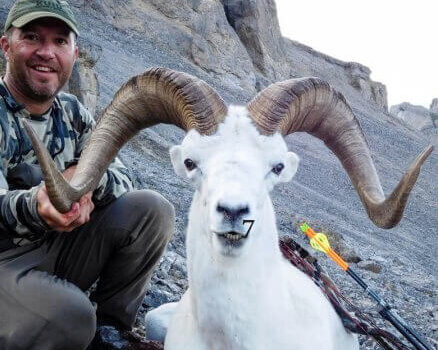 wta_1087_MESV8J_082_dallsheep-5