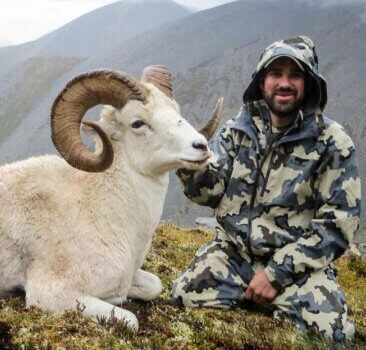 wta_1087_OI08TL_082_dallsheep-6