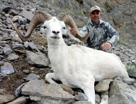 wta_1087_VLF7T1_082_dallsheep-22