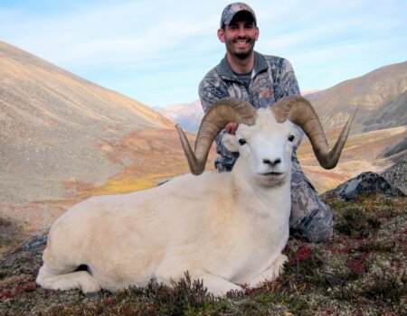 wta_1087_VQXAZO_082_dallsheep-26