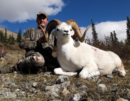 wta_1087__featured_2VS8RX_sheep2