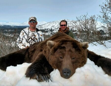 wta_1101_BQD9CU_Bear