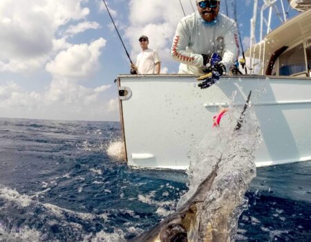 wta_1109_sailfish2