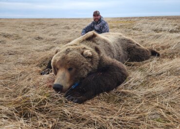 The Last-Minute Hunt of a Lifetime: Alaskan Brown Bear