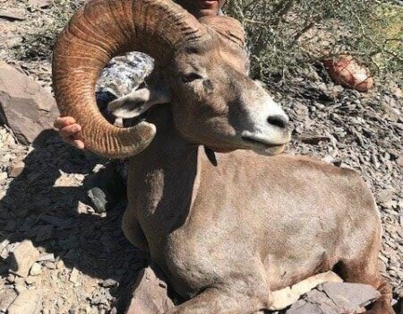 wta_1120_AKMI2H_IMG_1047