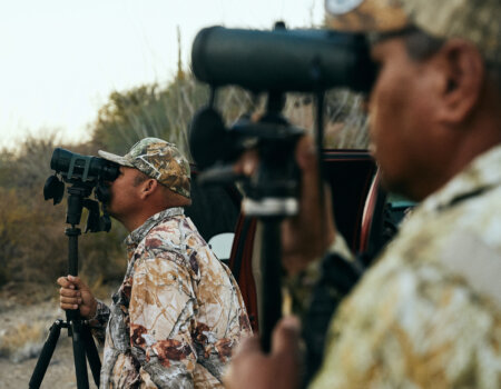 wta_1120_WTA_DesertBighorn_031226_11