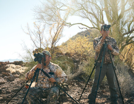 wta_1120_WTA_DesertBighorn_031226_26