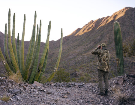 wta_1120_WTA_DesertBighorn_031226_35