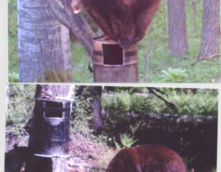 wta_1130_0N2UKJ_Bear172-26-13