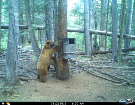 wta_1130_8G4O19_TomDavidPhoto1