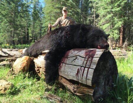 wta_1130_F4LJOV_TerryHagen