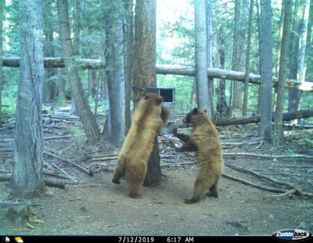 wta_1130_YI6KN8_TomDavidPhoto